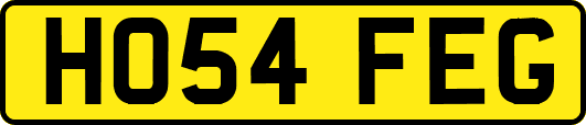 HO54FEG