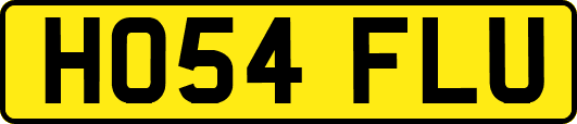HO54FLU