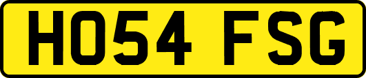 HO54FSG