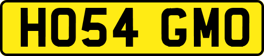 HO54GMO