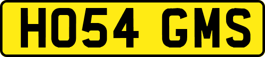 HO54GMS