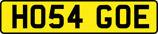 HO54GOE