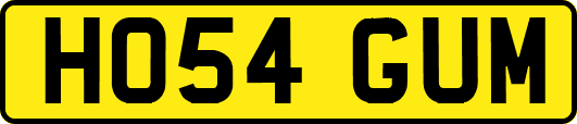 HO54GUM