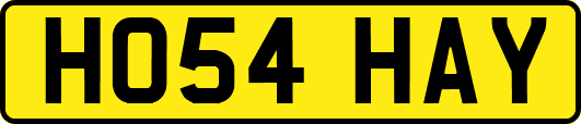 HO54HAY