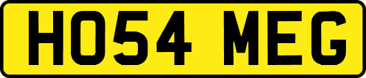 HO54MEG