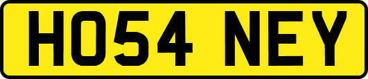 HO54NEY