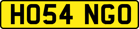 HO54NGO
