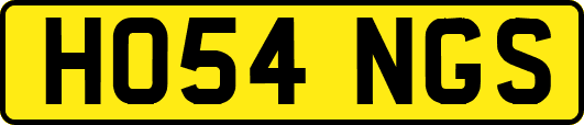 HO54NGS