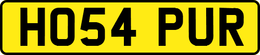 HO54PUR