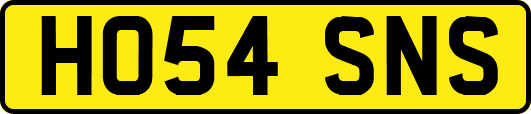 HO54SNS