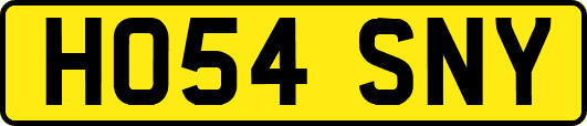 HO54SNY