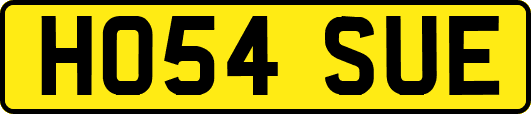 HO54SUE