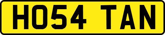 HO54TAN