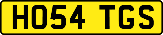 HO54TGS