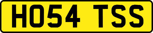 HO54TSS