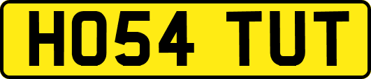 HO54TUT