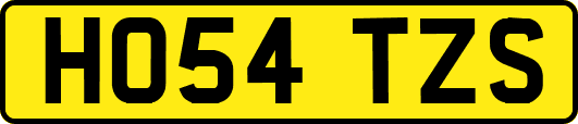HO54TZS