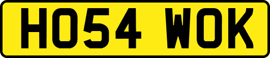 HO54WOK
