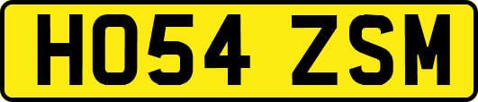 HO54ZSM