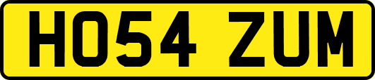 HO54ZUM