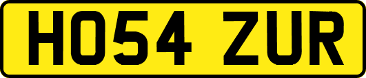 HO54ZUR