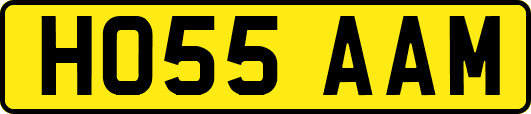 HO55AAM