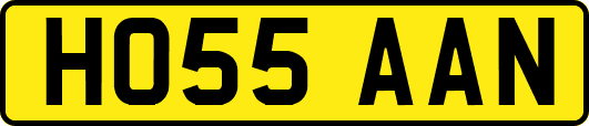 HO55AAN