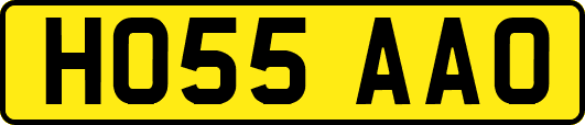 HO55AAO
