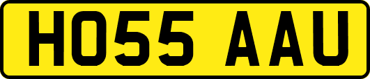 HO55AAU