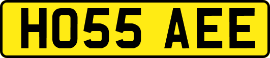 HO55AEE