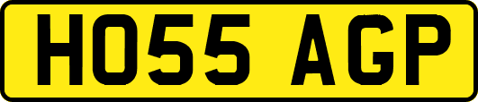 HO55AGP