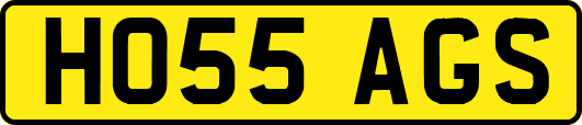 HO55AGS
