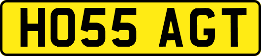HO55AGT