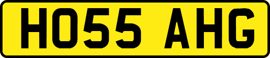 HO55AHG