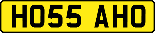 HO55AHO