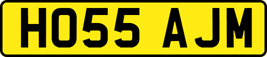 HO55AJM