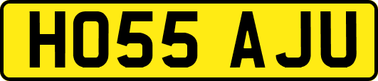 HO55AJU