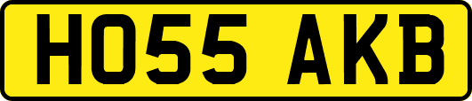 HO55AKB