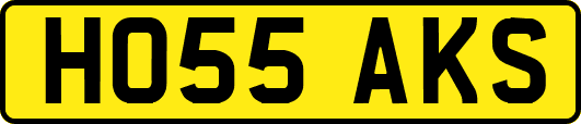 HO55AKS