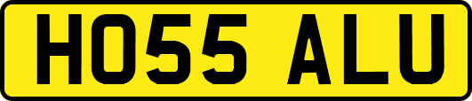 HO55ALU