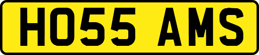 HO55AMS