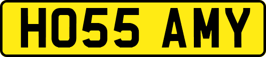 HO55AMY