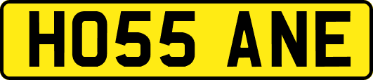 HO55ANE