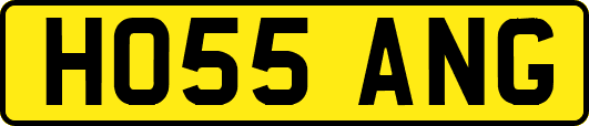 HO55ANG