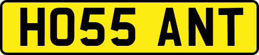 HO55ANT