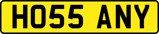 HO55ANY