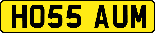 HO55AUM