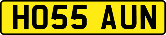 HO55AUN