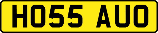 HO55AUO
