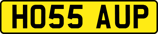 HO55AUP